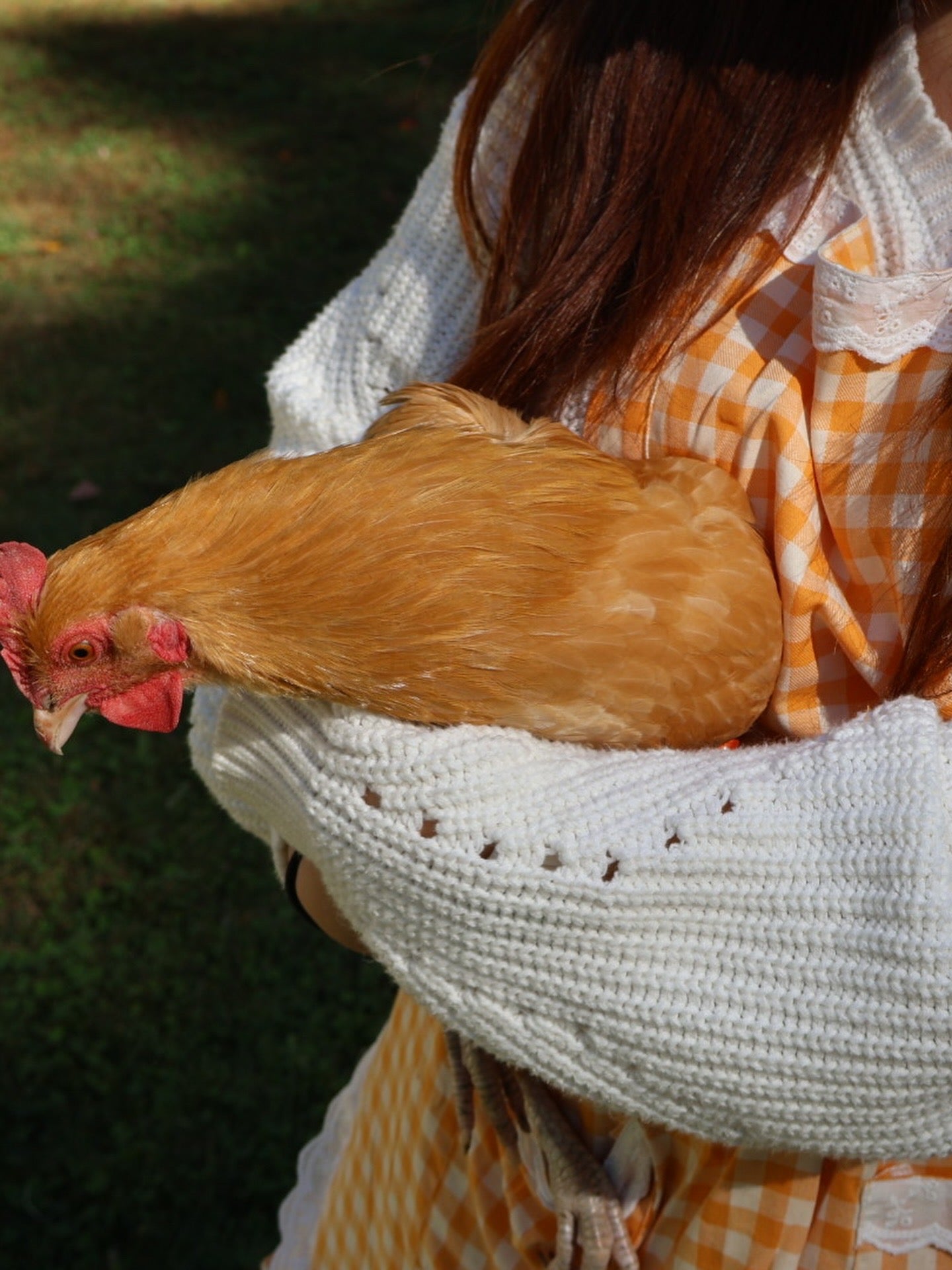 Pumpkin Pie Gingham Apron Set